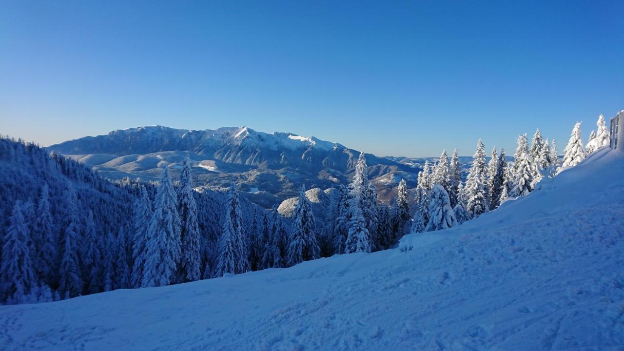 Apartament 2706 Alpin Resort, Etaj 7, 포이아나브라소프 외부 사진