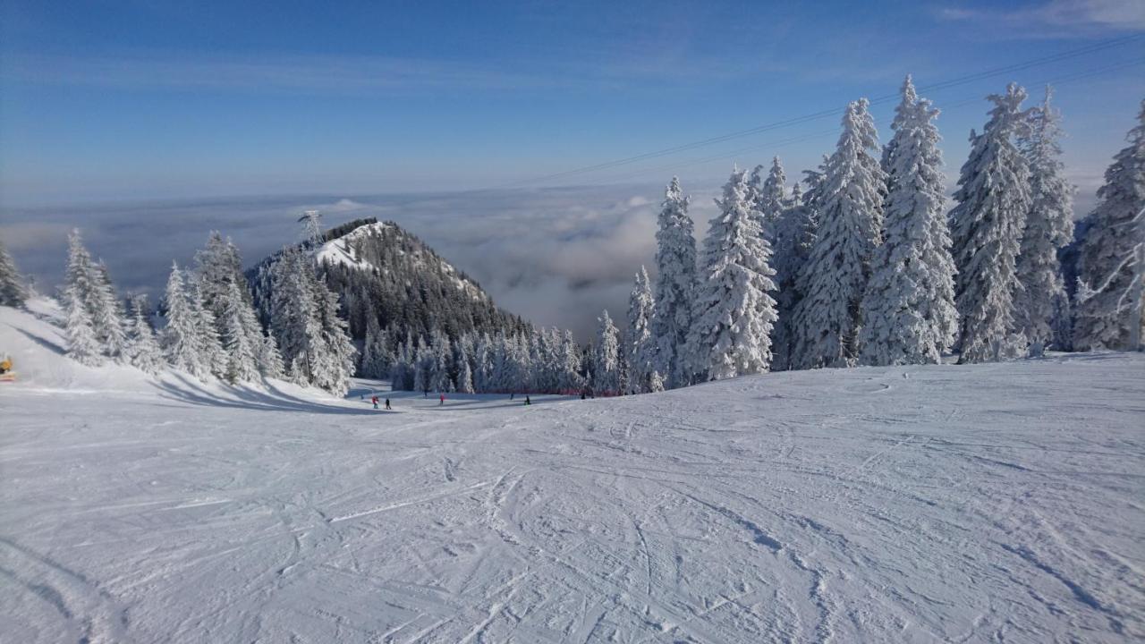 Apartament 2706 Alpin Resort, Etaj 7, 포이아나브라소프 외부 사진