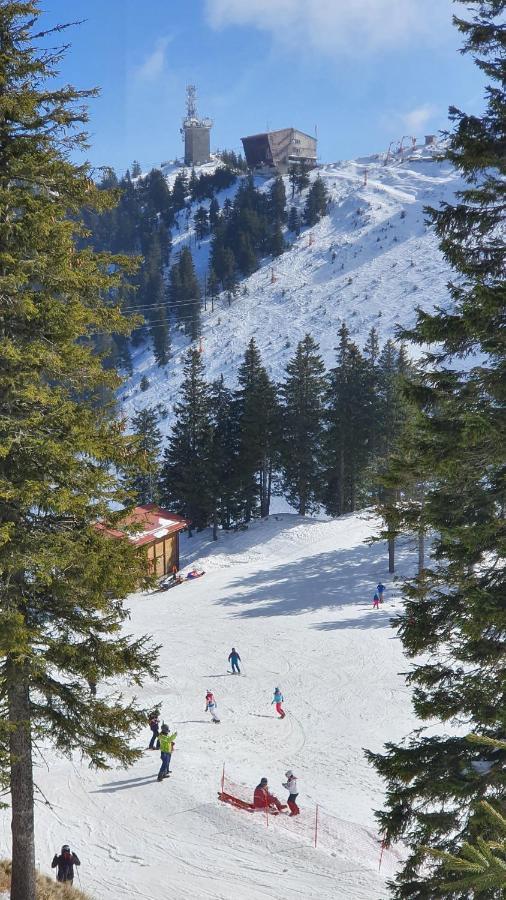 Apartament 2706 Alpin Resort, Etaj 7, 포이아나브라소프 외부 사진